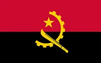 Flag Image